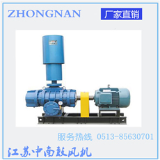 羅茨風機